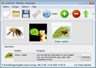 Fading Flash In Blogger 